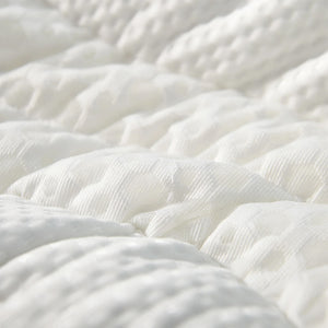 DeRUCCI 3D Washable Pillow PZZ1 - 142