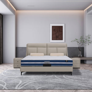 Đệm Kháng Khuẩn DeRUCCI MOC1 - 017 (MZZ1 - 062)