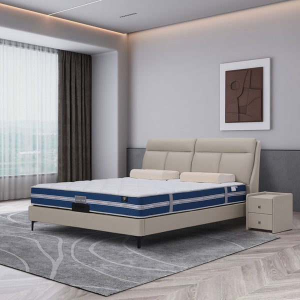 Đệm Kháng Khuẩn DeRUCCI MOC1 - 017 (MZZ1 - 062)