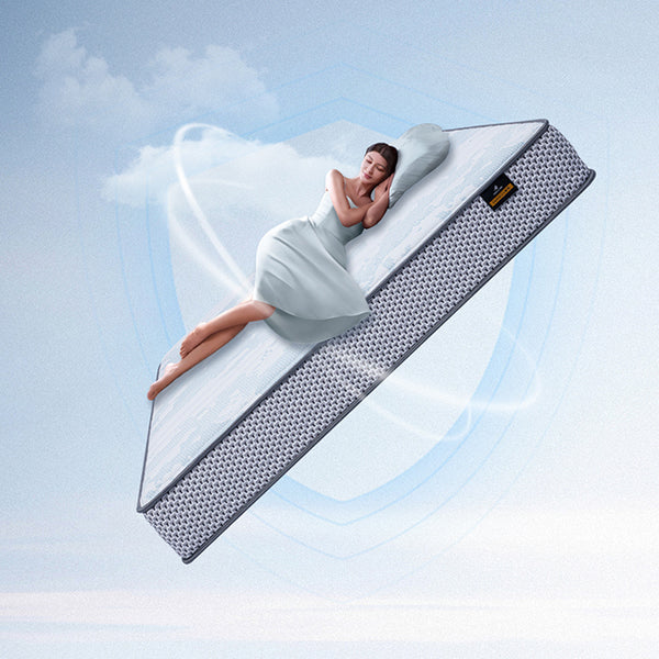 DeRUCCIi Universal Mattress MOC1 - 018