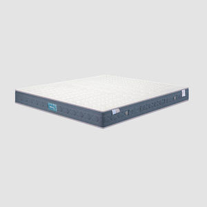 Đệm DeRUCCI Cao Su Thiên Nhiên Lò Xo Độc Lập 3 Vùng MZZ4 - 167